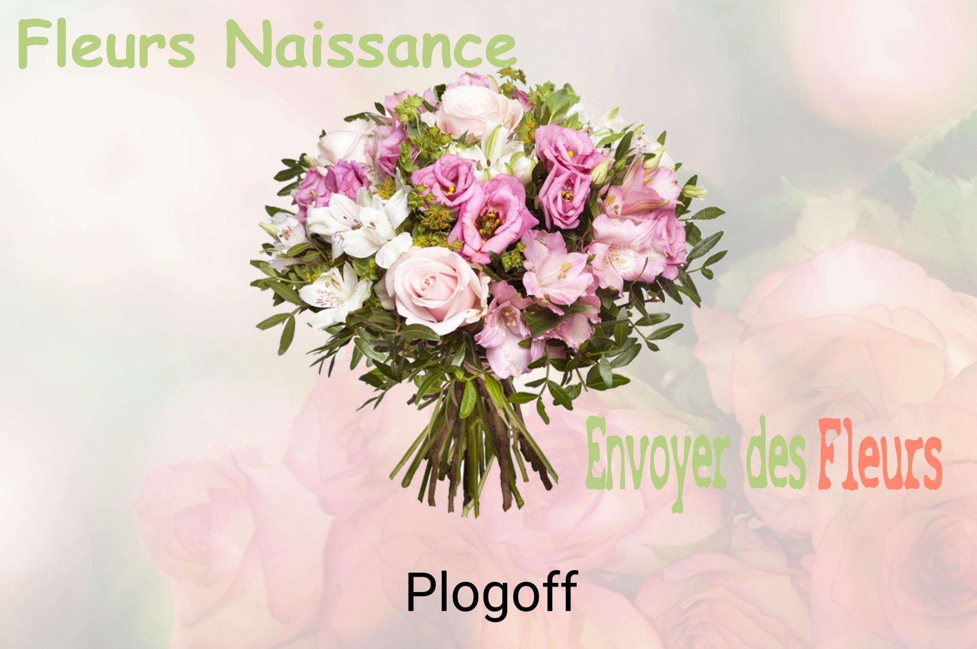Bouquet de fleurs de naissance livré à Plogoff